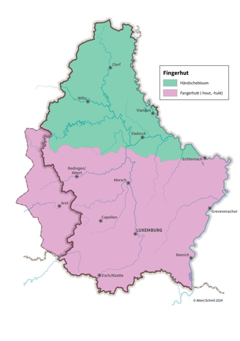 Regionale Unterschiede: Wie nennst du diese Pflanze? 