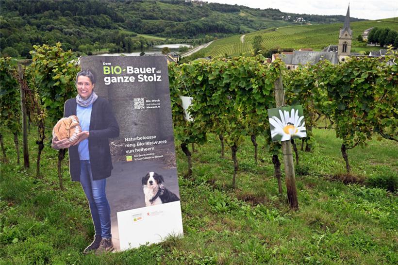 „Bio muss zur Normalität werden“ 