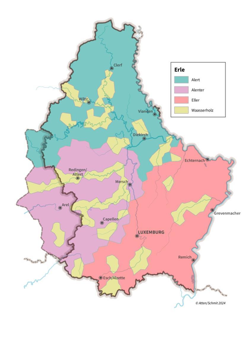 Regionale Unterschiede: Wie nennst du diesen Baum? 