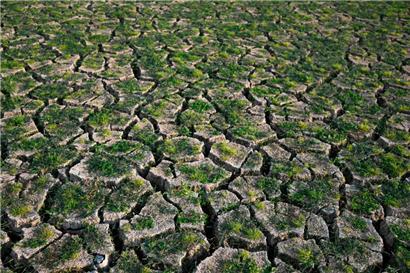 Copernicus: 2024 heißester Sommer aller Zeiten