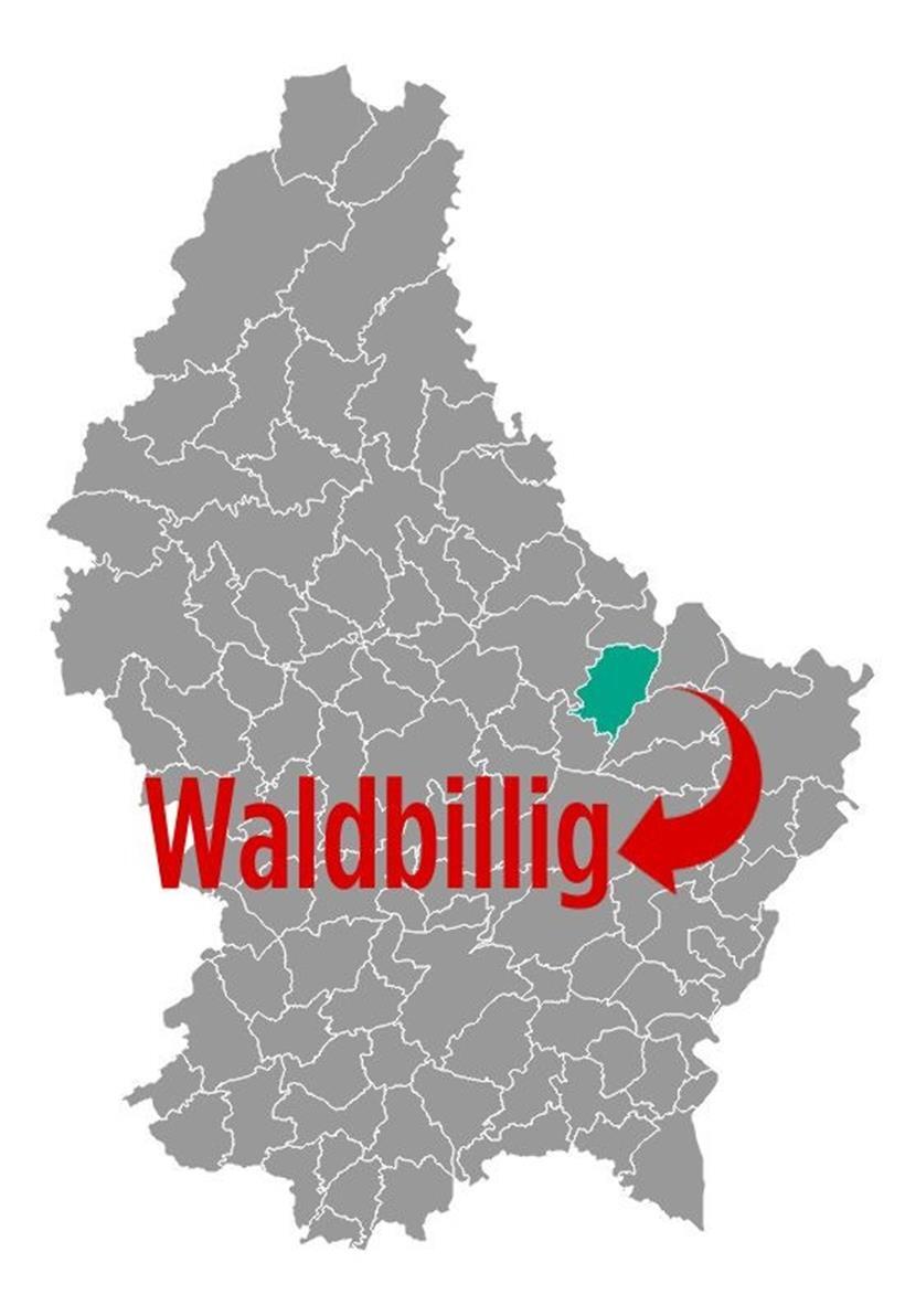 Kleine Gemeinden im Fokus: Waldbillig 