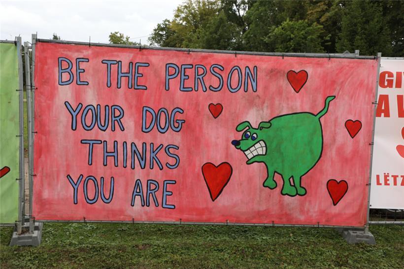 „Mehr Kontrollen, das geht nur mit mehr Ressourcen“: ALVA-Verantwortliche antworten auf Kritiken  