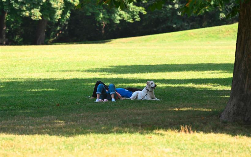 Luxemburg hat reichlich Nachholbedarf im Tierschutz 