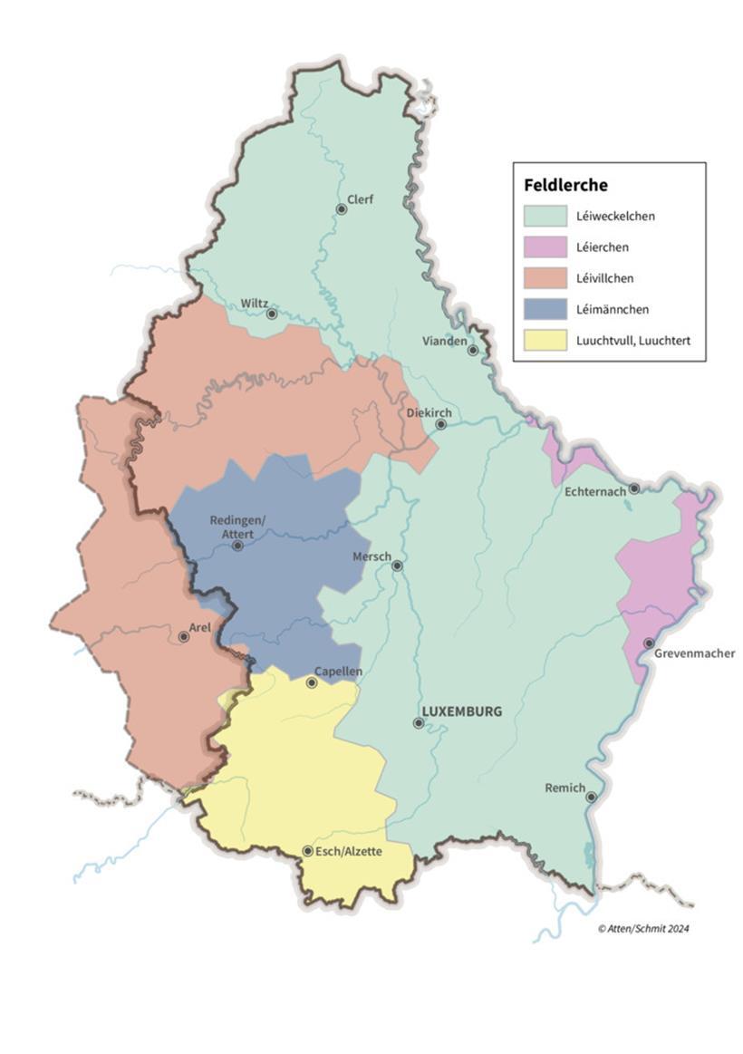 Regionale Unterschiede: Wie nennst du diesen Vogel? 
