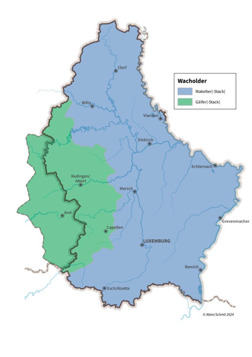 Regionale Unterschiede: Wie nennst du diesen Strauch? 