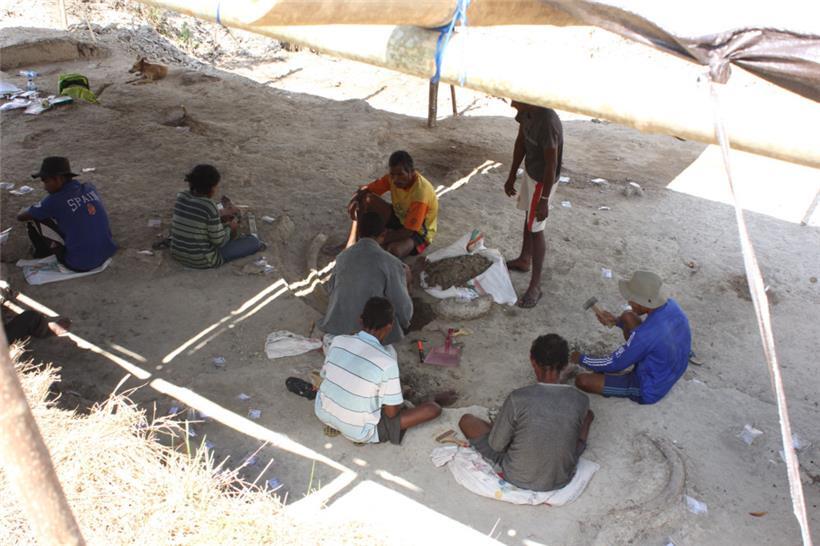 Winziger Armknochen gibt Einblick in die Ursprünge der Zwergenmenschen von Flores 