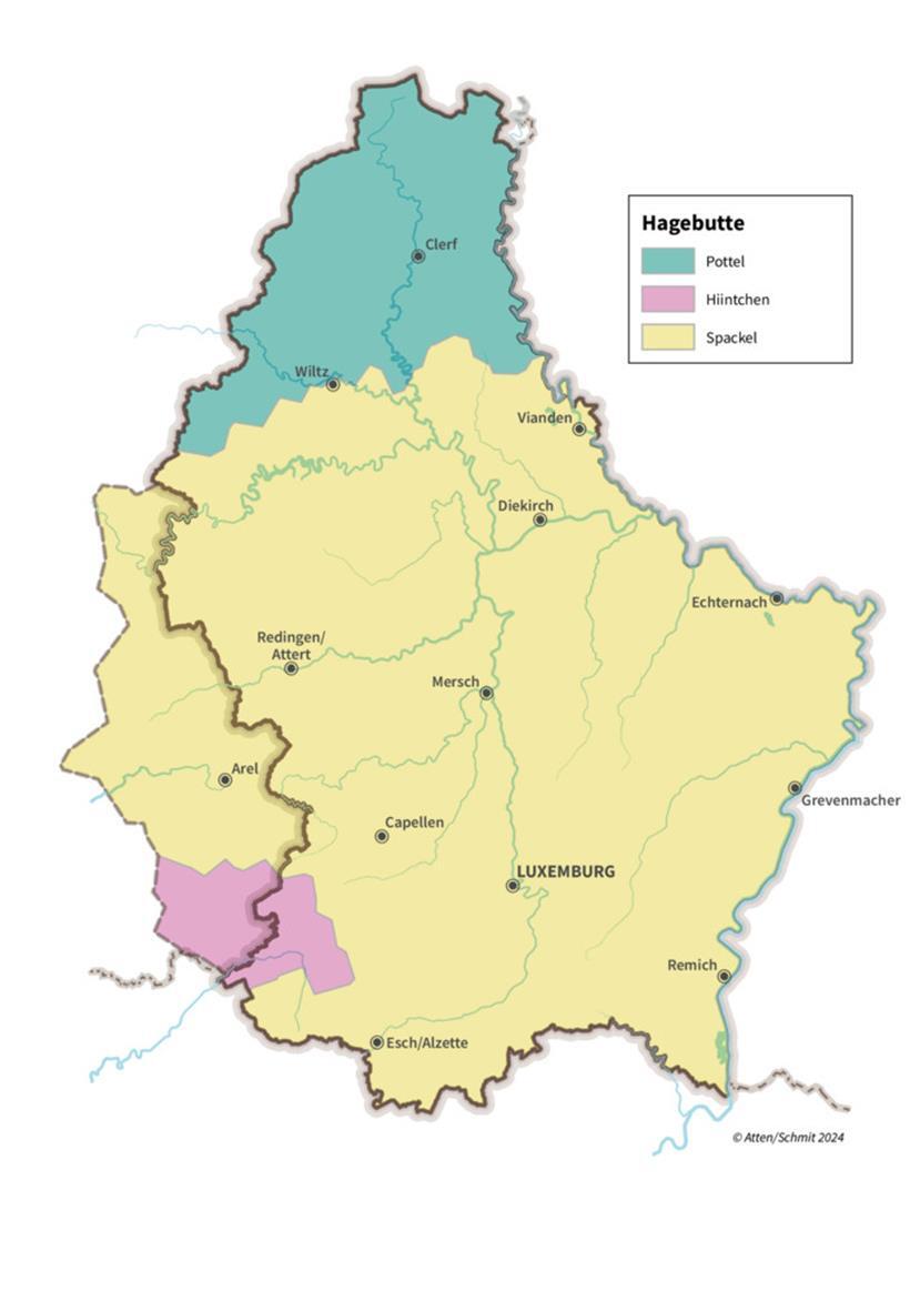 Regionale Unterschiede: Wie nennst du diese Frucht? 