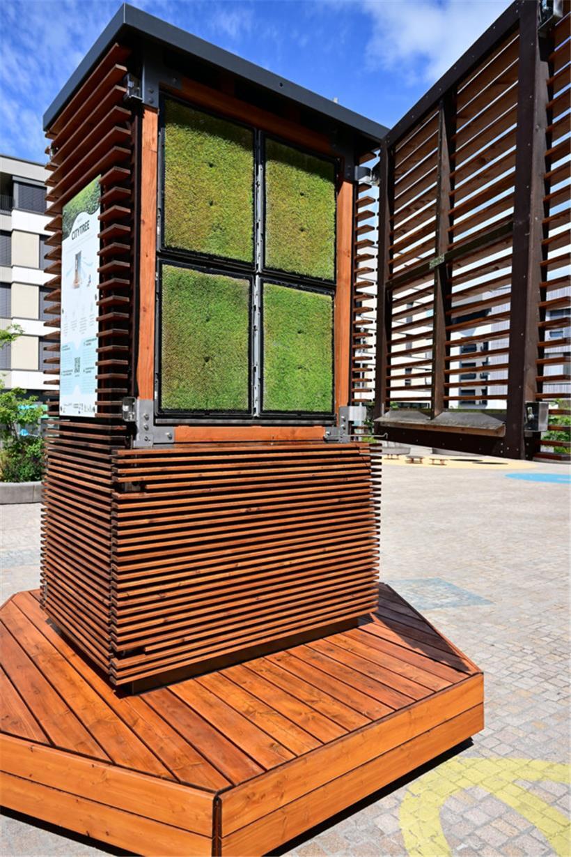 Mouvement écologique: „City Trees“ sind kein Ersatz für echte Bäume 