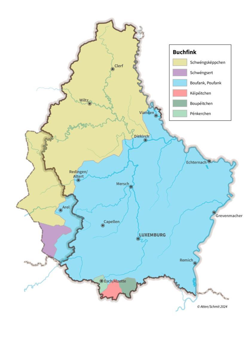 Regionale Unterschiede: Wie nennst du diesen Vogel? 
