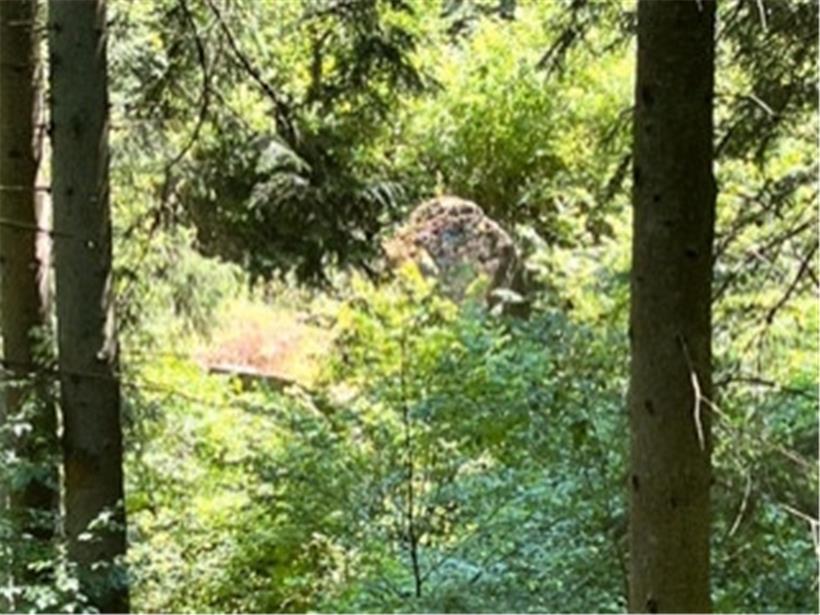 Ein Stück Dorfgeschichte verschwindet jetzt ganz im Wildwuchs! 