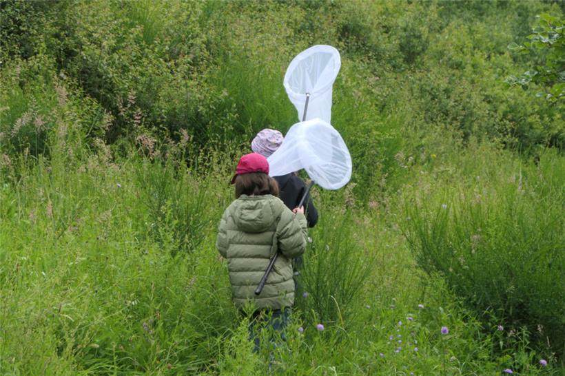 Ein Fest der Vielfalt der Natur 