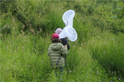 Ein Fest der Vielfalt der Natur