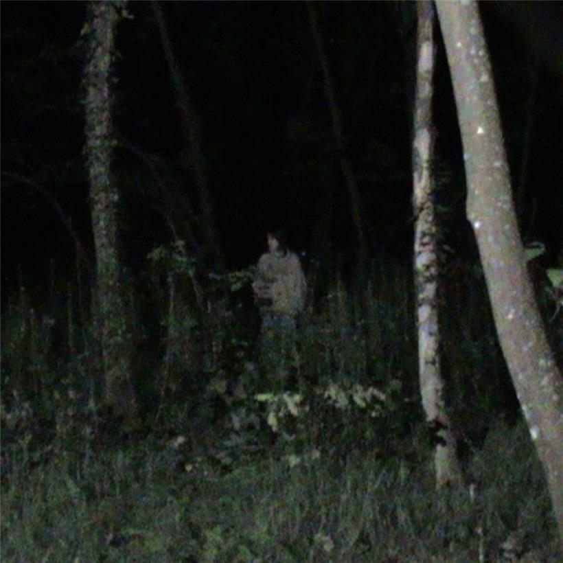 St. Vincent, Billie Eilish, Richard Hawley und Whisper: Schreie, Schläge und Whiskey pur 