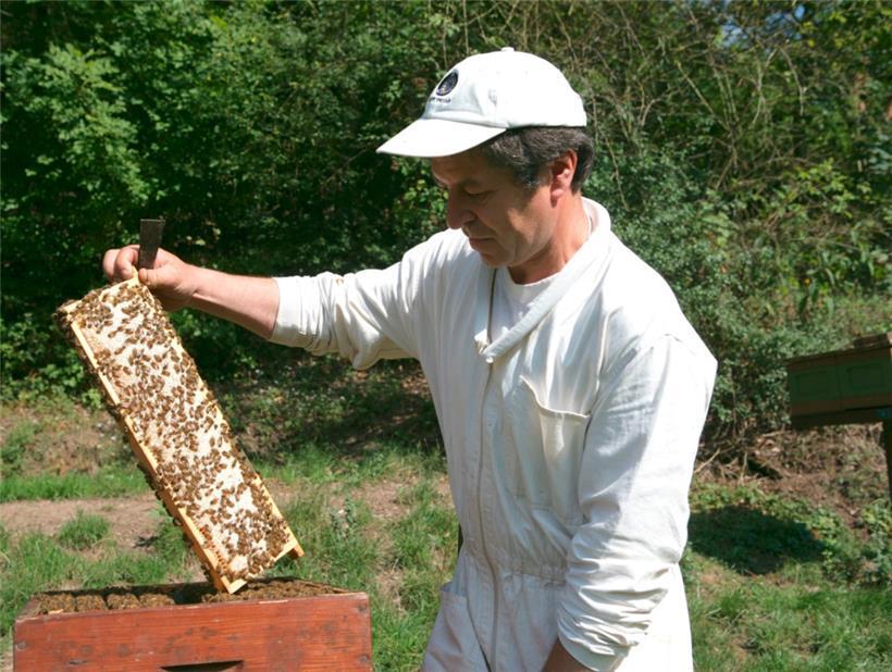 Zum Weltbienentag am 20. Mai 2024: Über den Stellenwert der Imkerei in der Gesellschaft 