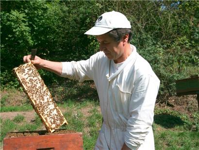 Zum Weltbienentag am 20. Mai 2024: Über den Stellenwert der Imkerei in der Gesellschaft