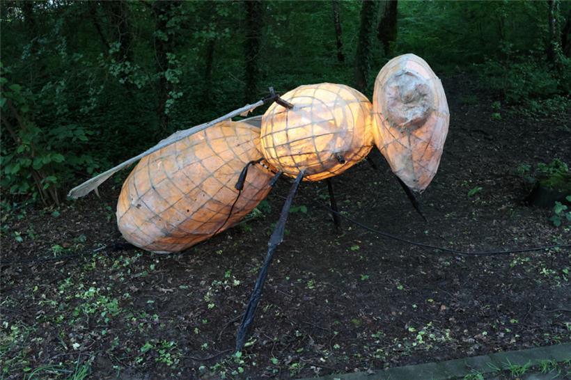 Kulturelle Nachwehen in Esch 