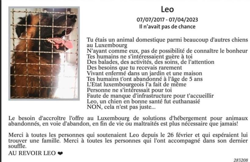 Tierwohl/Tierschutz in Luxemburg 