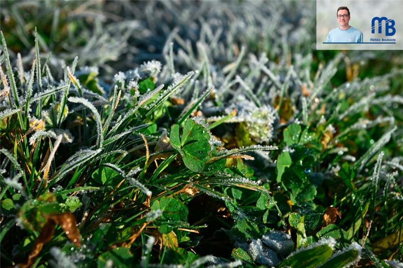 Kältephase Ende April: Ist das normal oder steht wirklich alles Kopf? 