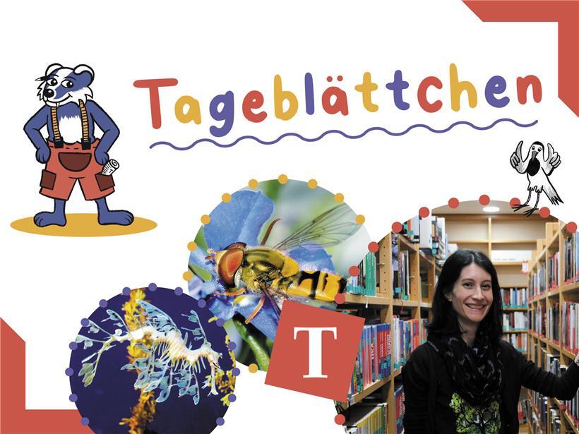 Getarnte Tiere und die Hüterin von 60.000 Schätzen 