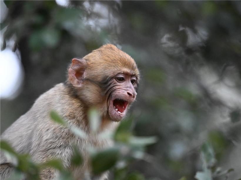 Spanien war gestern, heute kommt die Wüste Spanien war gestern, heute kommt die Wüste