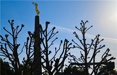 Verteidigung unserer Werte und Freiheit; Hindukusch ja, Cherson ja, Guernica nein.