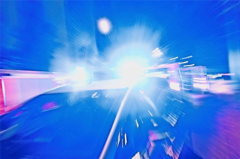 Zu Tode misshandelter Hund in Tetingen gefunden – Polizei sucht Zeugen und Besitzer 