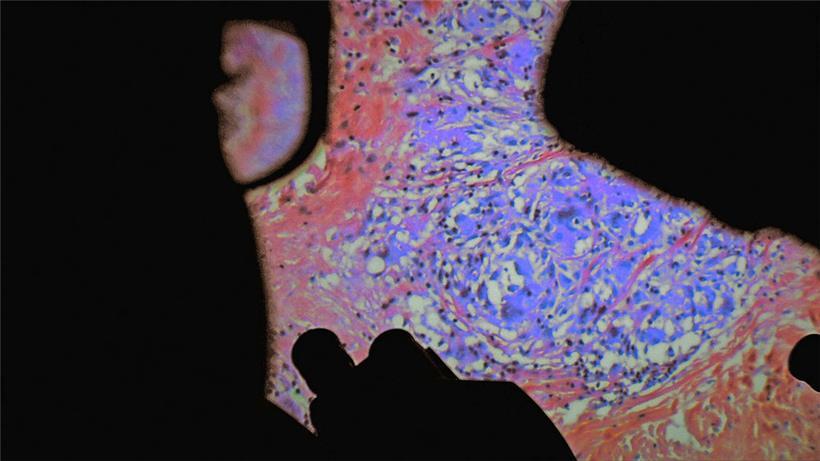 The Act of Seeing with One’s Own Eyes: „De Humani Corporis Fabrica“ von Véréna Paravel und Lucien Castaing-Taylor 