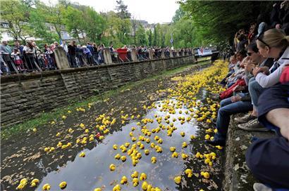 „Duck Race“: Tausende Plastikenten schwimmen für humanitäre Zwecke durch die Alzette