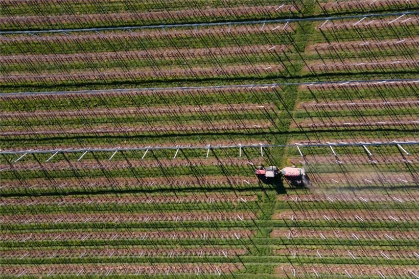 Landwirtschaftsministerium will Bauern über Beihilfen zum Glyphosat-Verzicht ermuntern 