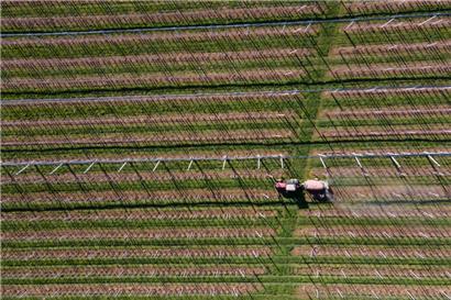 Landwirtschaftsministerium will Bauern über Beihilfen zum Glyphosat-Verzicht ermuntern