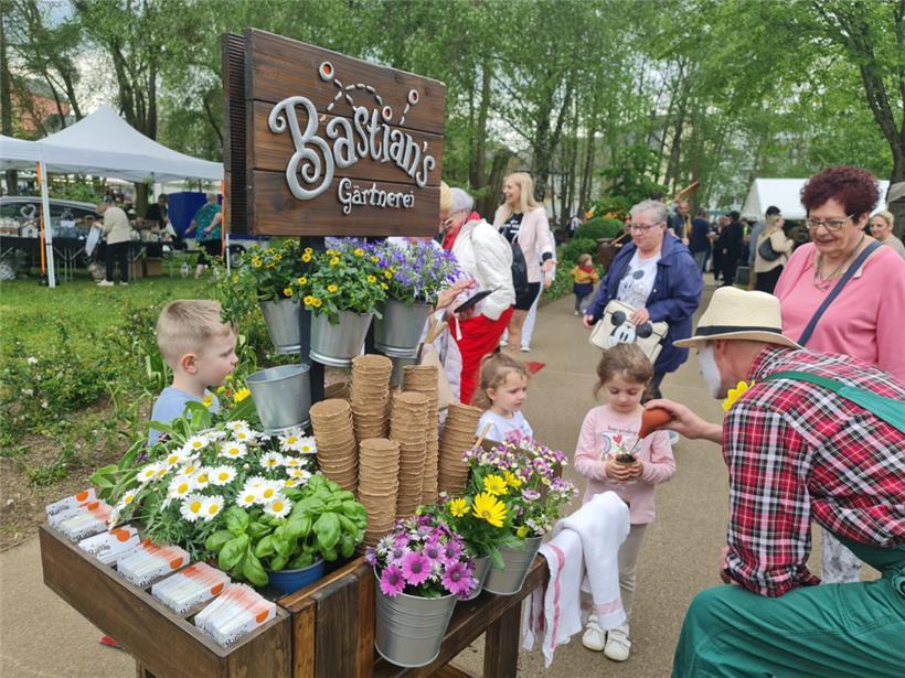 Grüner Daumen im Park Ouerbett: Blumenfest lockt Tausende Besucher 
