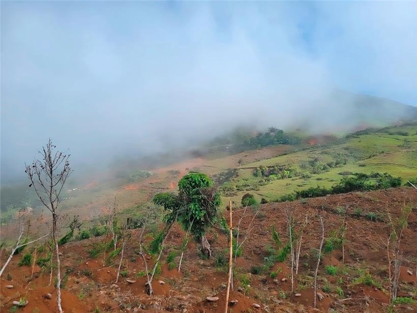 Haiti: 4,5 Millionen Menschen sind auf externe Hilfe angewiesen 