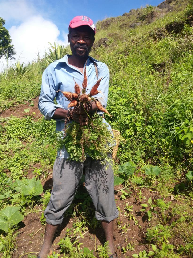 Haiti: 4,5 Millionen Menschen sind auf externe Hilfe angewiesen 