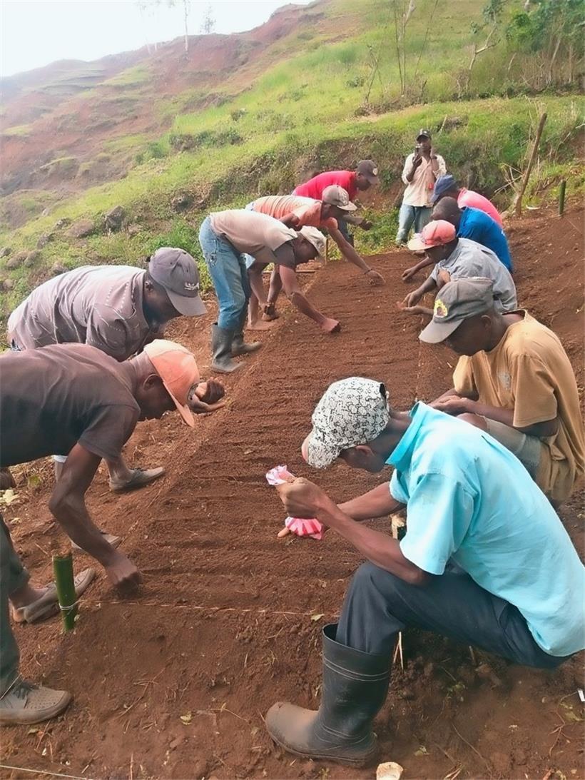 Haiti: 4,5 Millionen Menschen sind auf externe Hilfe angewiesen 