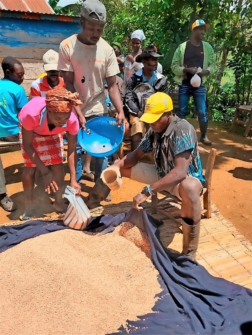 Haiti: 4,5 Millionen Menschen sind auf externe Hilfe angewiesen 