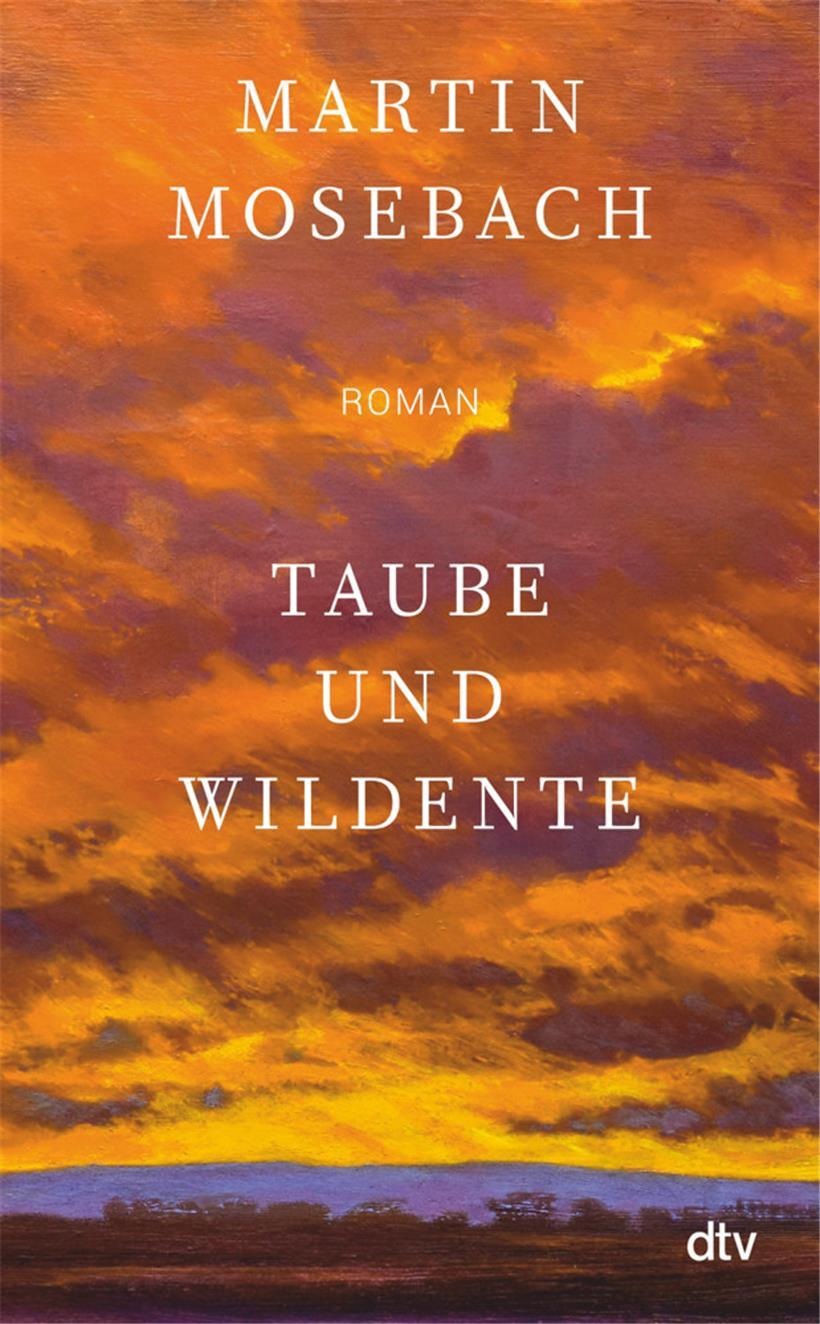 Erlegt oder erledigt:  Martin Mosebachs „Taube und Wildente“ 
