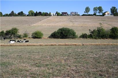 Feuchter Winter, trockener Frühling: Statec beziffert Klimawandel in Luxemburg