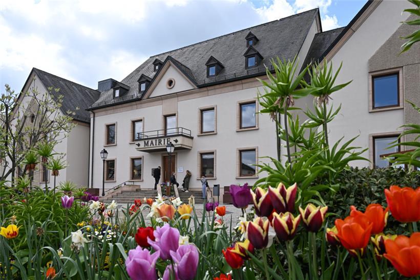 CSV verpasst absolute Mehrheit knapp 