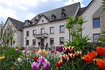 CSV verpasst absolute Mehrheit knapp