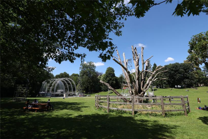 „Kinnekswiss loves“: Stadtpark wird zum Konzertsaal 