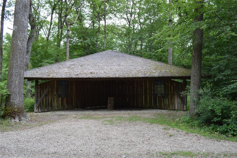 Zurück zur Natur: Immer mehr Menschen wollen im Wald die letzte Ruhe finden 