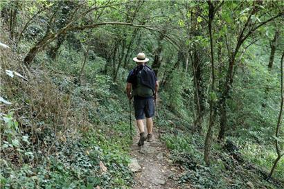 Parlament heißt Waldgesetz einstimmig gut