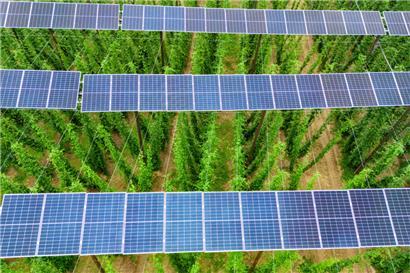 Il vaut mieux le taire …