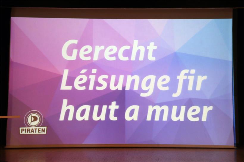 Parteiprogramm der Piraten lässt online auf sich warten 
