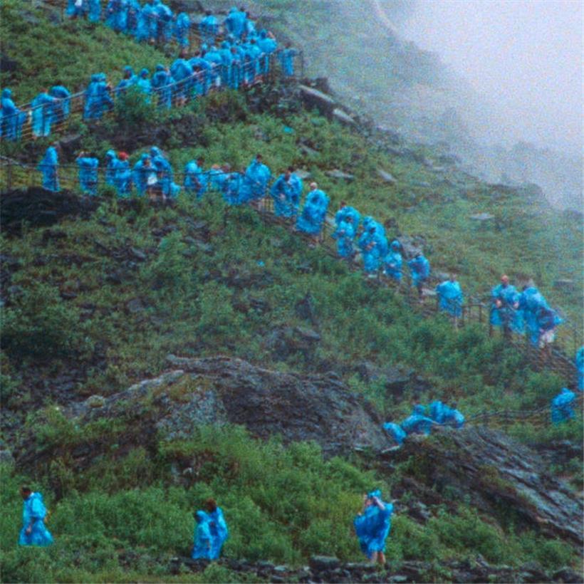 Meditatives von der Indierock-Ikone: Courtney Barnett veröffentlicht „End Of The Day“ 