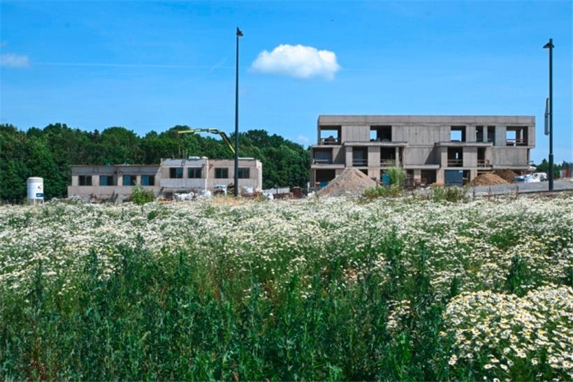 Logement, Steuern, Mobilität: Das haben CSV und DP in den kommenden fünf Jahren vor 