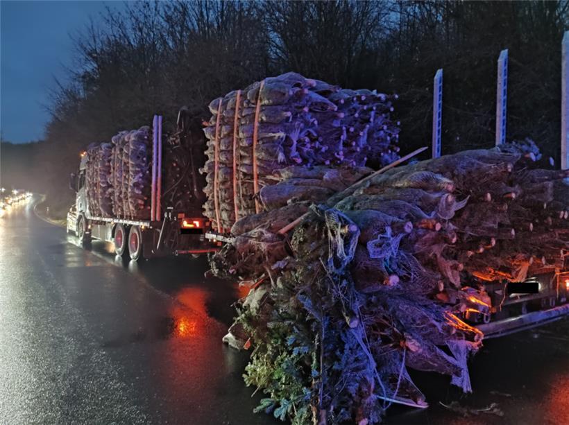 Lastwagen verliert Weihnachtsbäume – mehrere Fahrzeuge beschädigt 