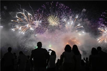 Und immer wieder grüßt die Plage Feuerwerk und Silvesterböller! 