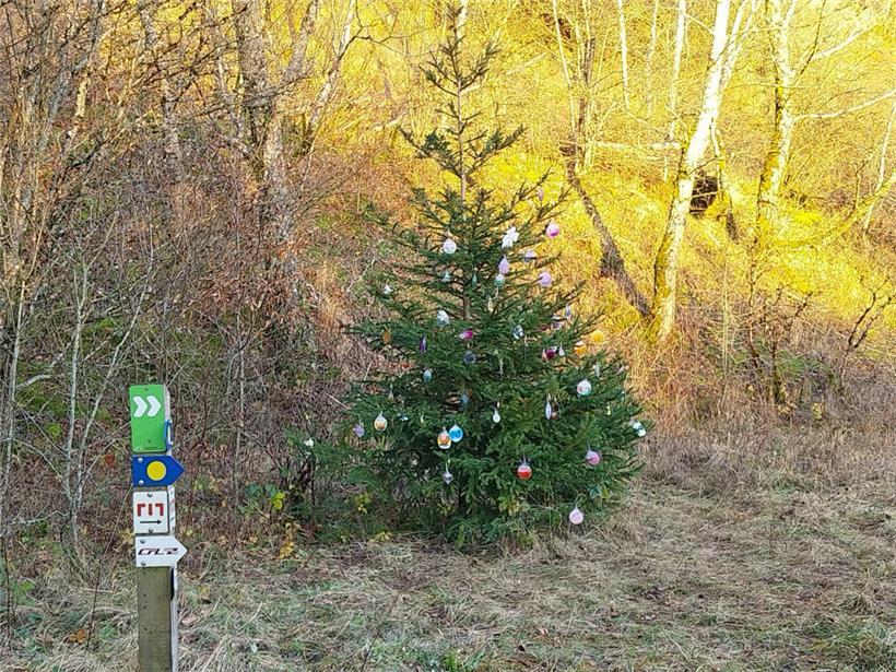 Es weihnachtet im Naturschutzgebiet 