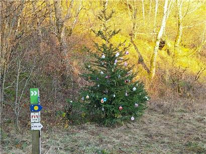 Es weihnachtet im Naturschutzgebiet